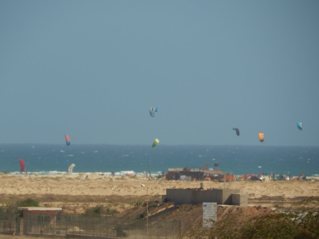 DSCN3987.JPG