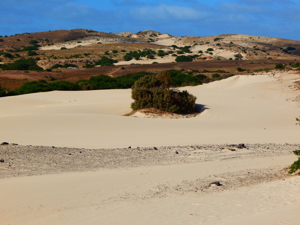 DSCN4232.JPG