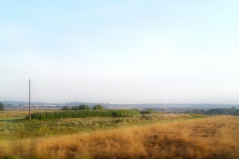 20150802_055440.jpg