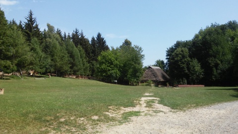20150803_113945.jpg
