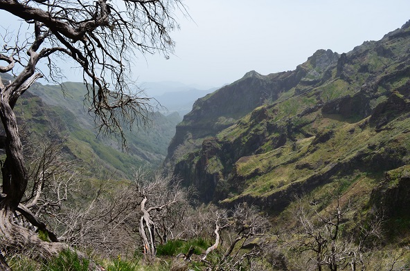 DSC_0230.JPG