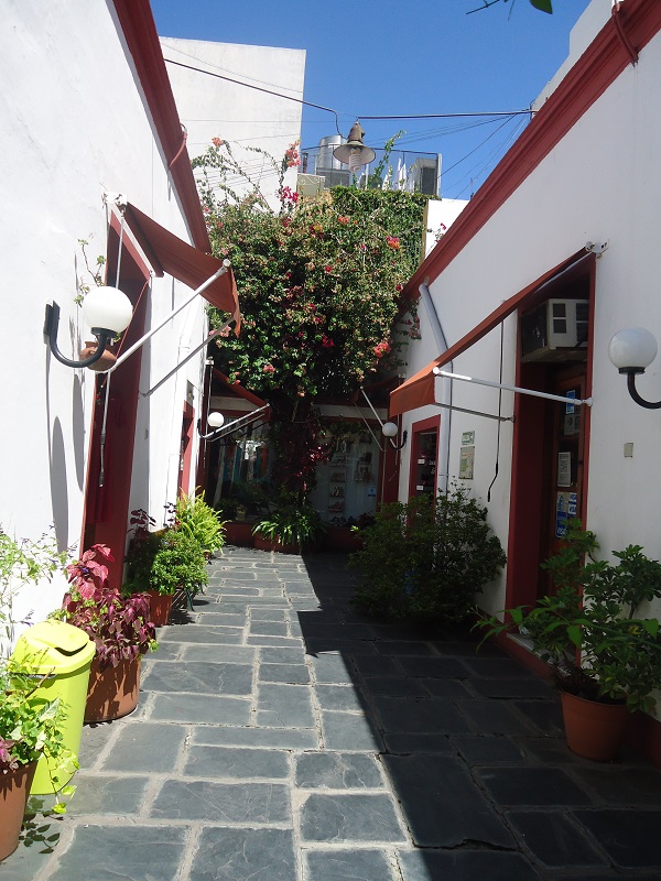 DSC02004.JPG