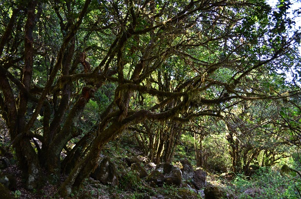DSC_0362.JPG