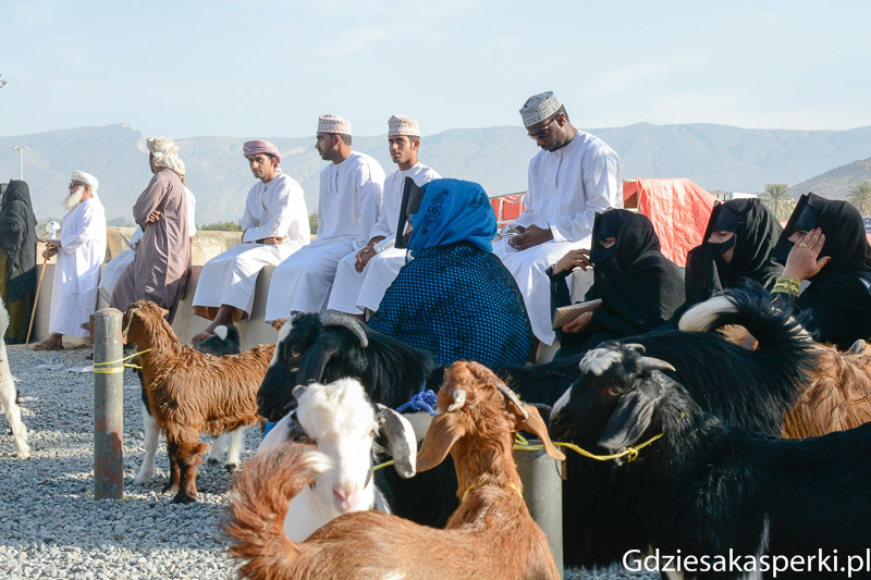 Oman-39.jpg