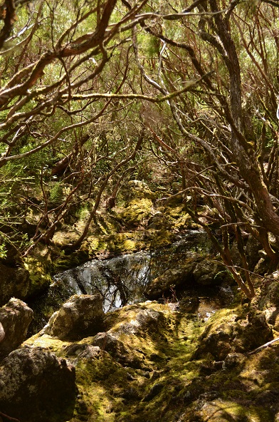 DSC_0382.JPG
