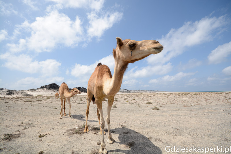 Oman-17.jpg