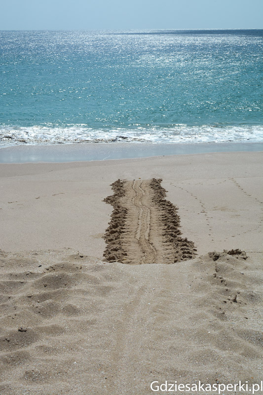 Oman-23.jpg