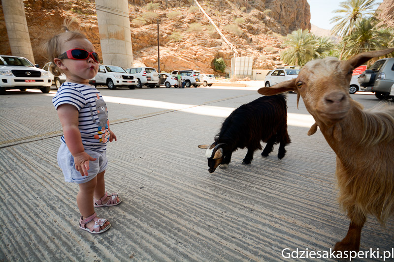 Oman-25.jpg