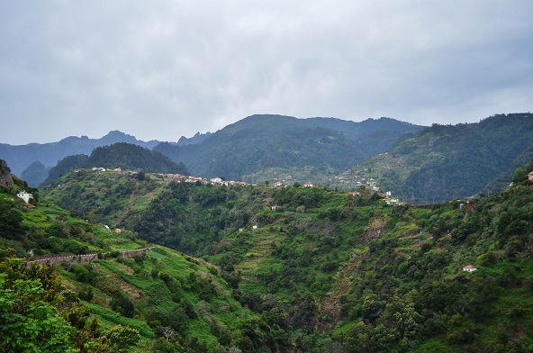 DSC_0412.JPG