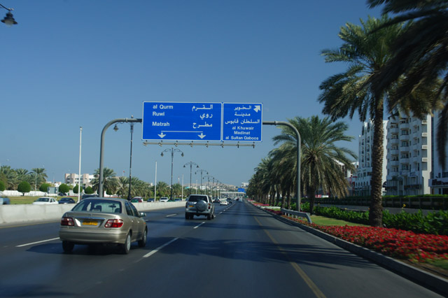DSC07871.JPG