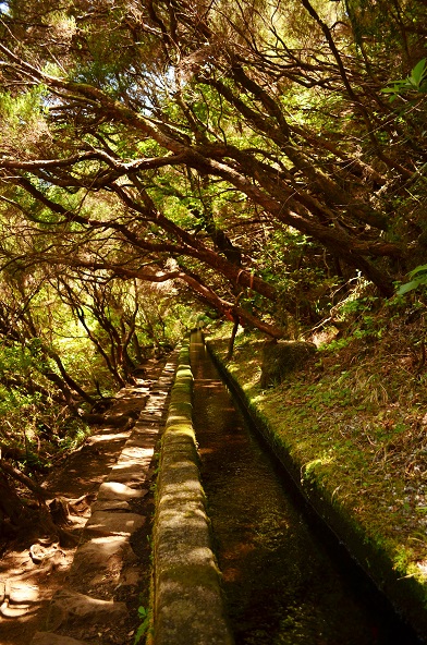 DSC_0485.JPG