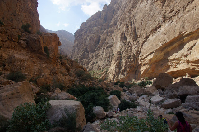 DSC08000.JPG