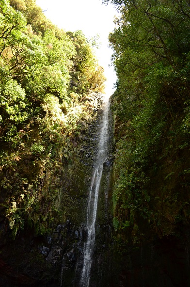 DSC_0490.JPG