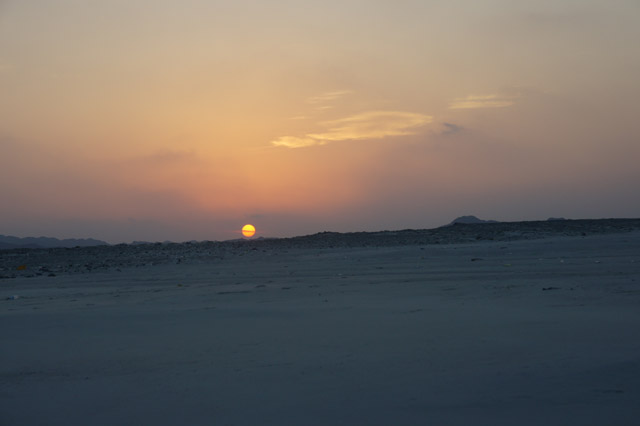 DSC08542.JPG