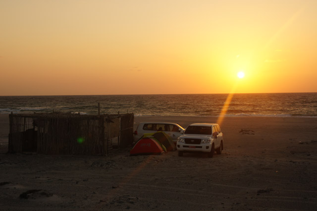 DSC08563.JPG