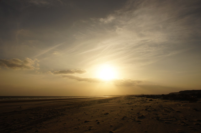 DSC08642.JPG