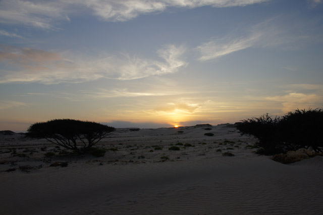 DSC08679.JPG