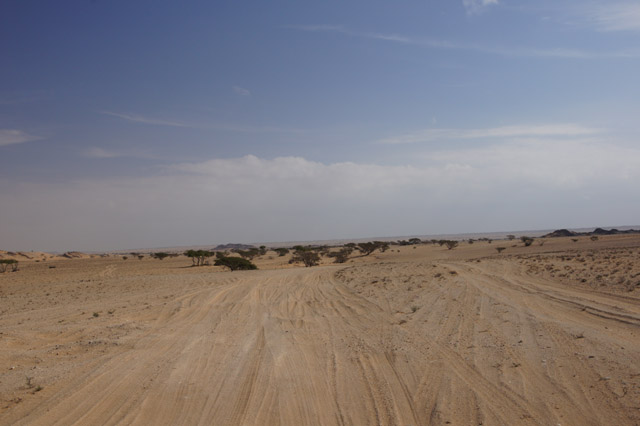DSC08728.JPG