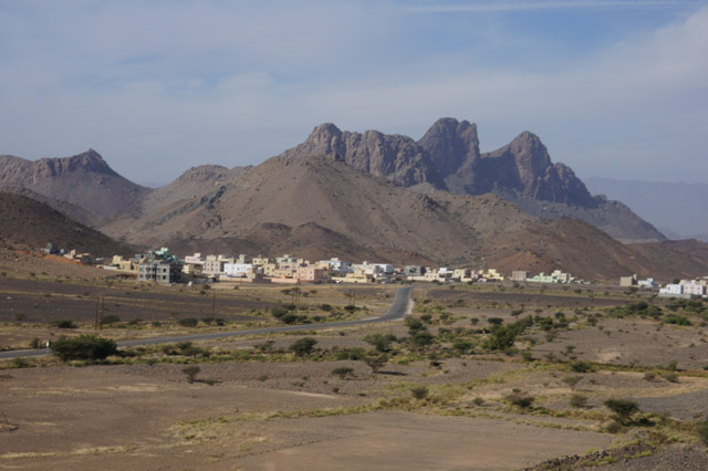 DSC08833.JPG