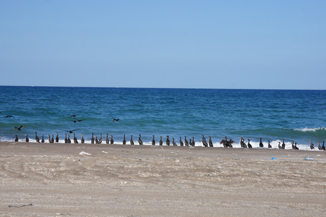DSC09022.JPG