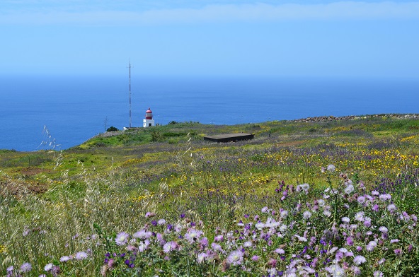 DSC_0611.JPG