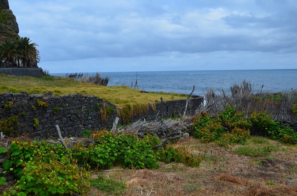 DSC_0643.JPG