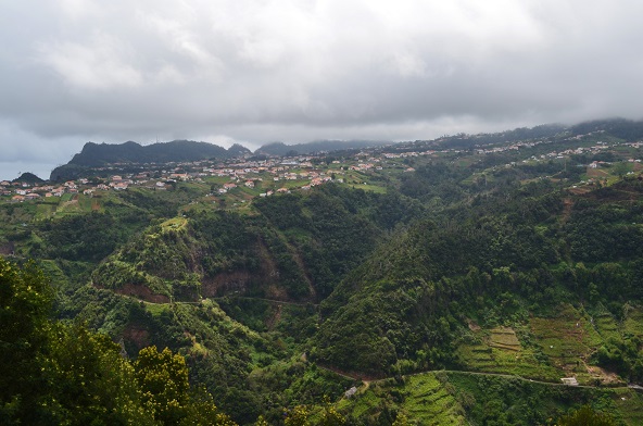 DSC_0653.JPG