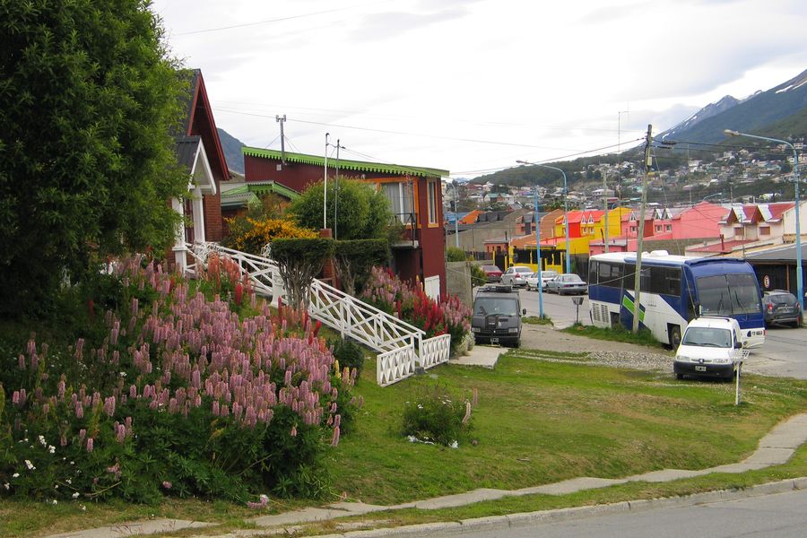 36.JPG