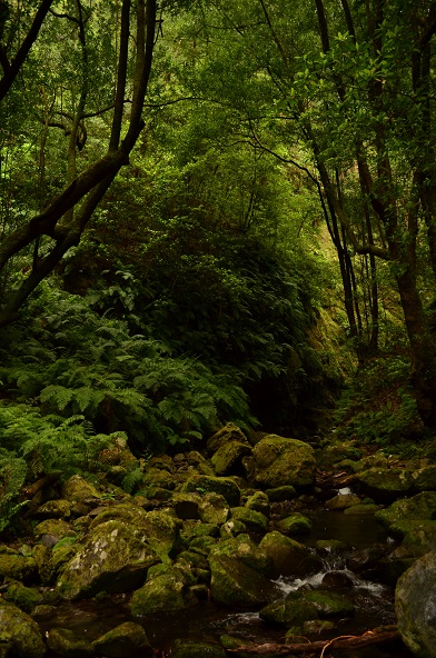 DSC_0673.JPG