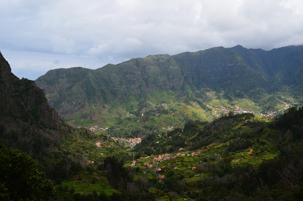 DSC_0708.JPG