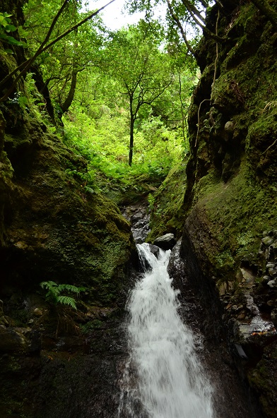 DSC_0713.JPG