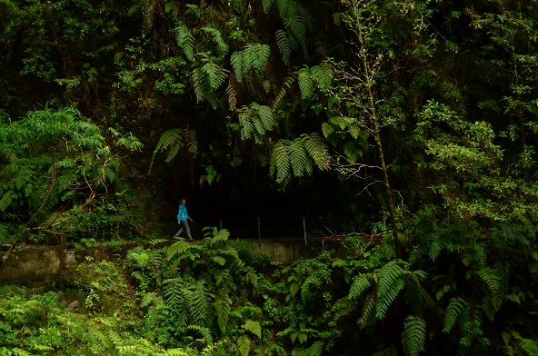 DSC_0718.JPG