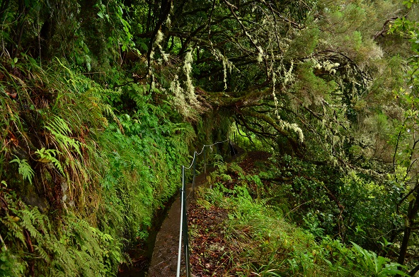 DSC_0760.JPG