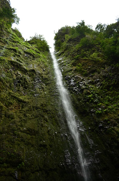 DSC_0780.JPG