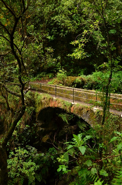 DSC_0814.JPG