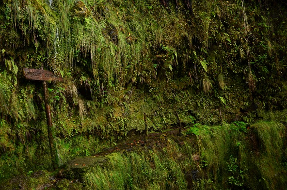 DSC_0815.JPG