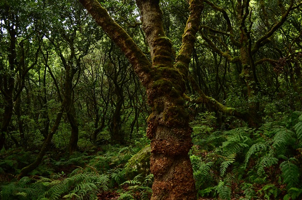 DSC_0827.JPG