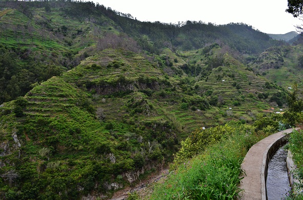 DSC_0835.JPG