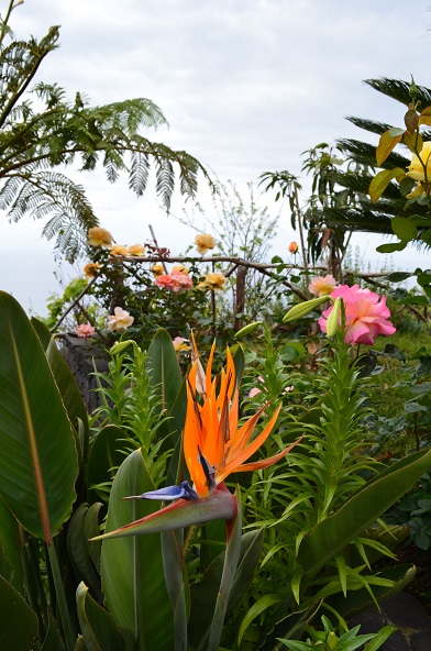 DSC_0862.JPG