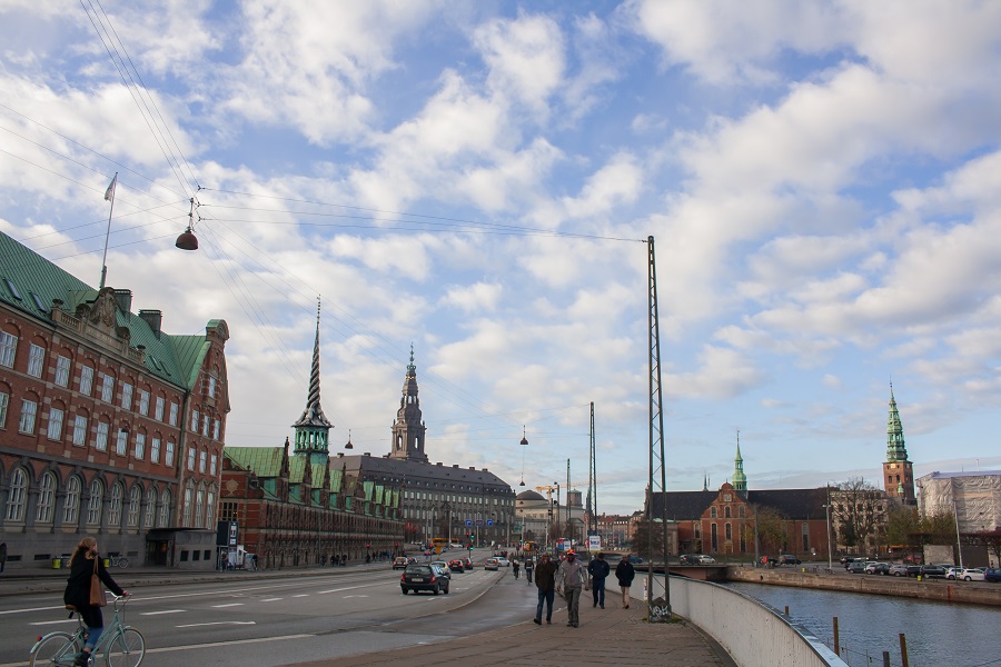 IMG_3446.jpg