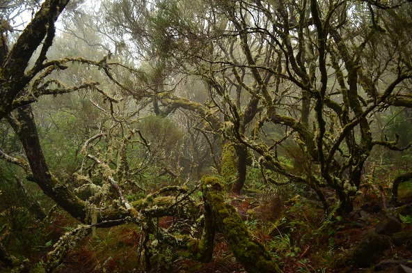 DSC_0878.JPG