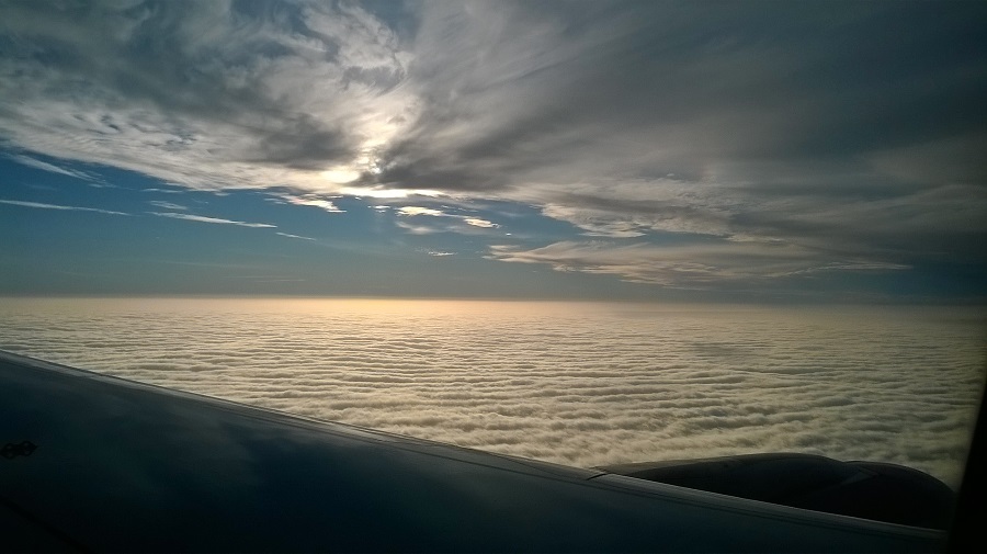 WP_20151116_003.jpg