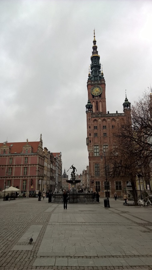 WP_20151116_13_19_51_Pro.jpg