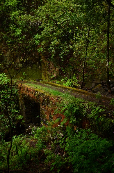 DSC_0887.JPG