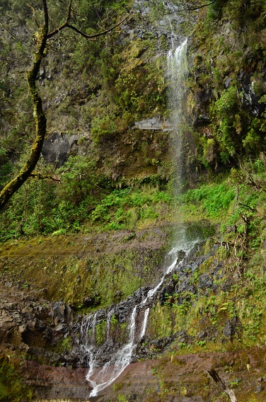DSC_0906.JPG