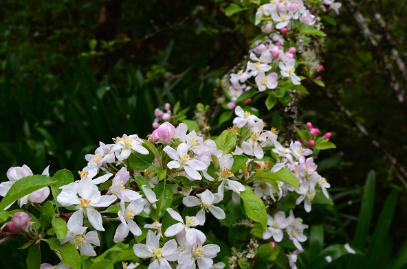 DSC_0929.JPG