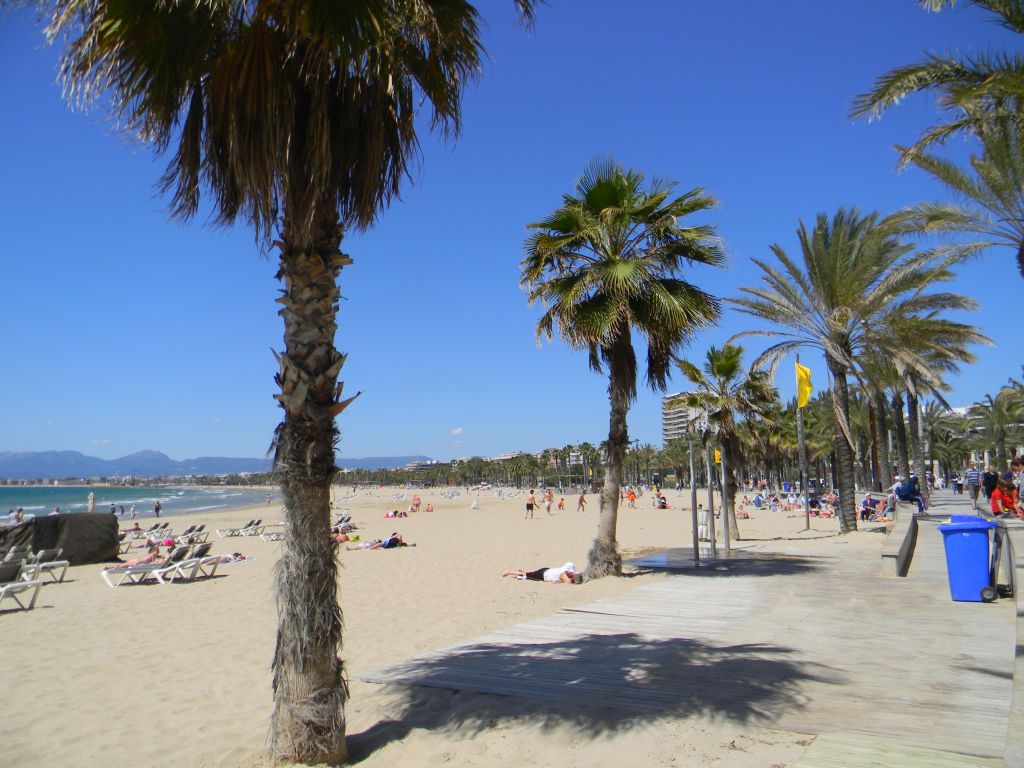 DSCN6226.JPG