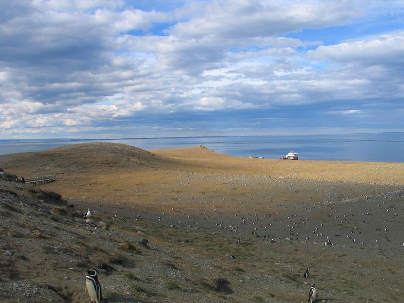 165.JPG