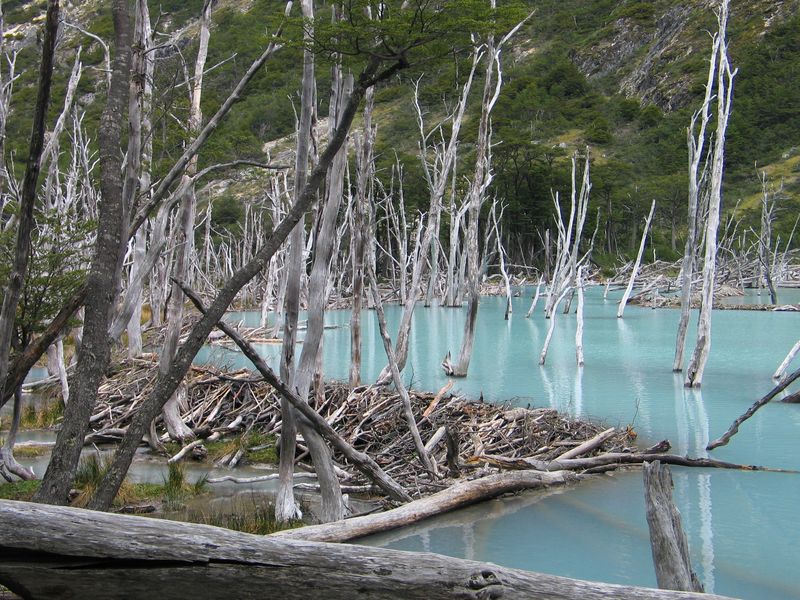 196.JPG