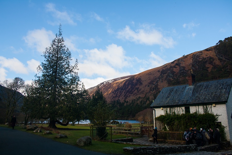 IMG_3964.jpg
